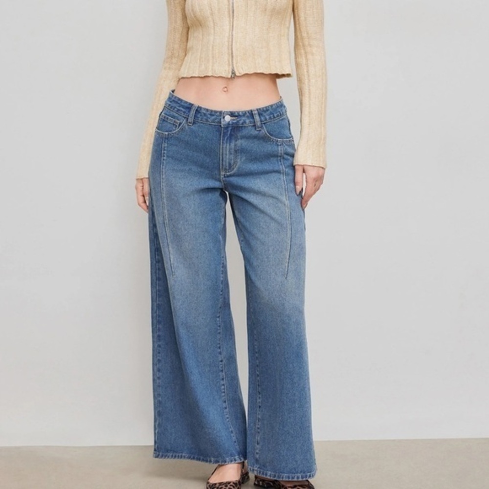 New ✨ CIDER DENIM LOW RISE BAGGY JEANS